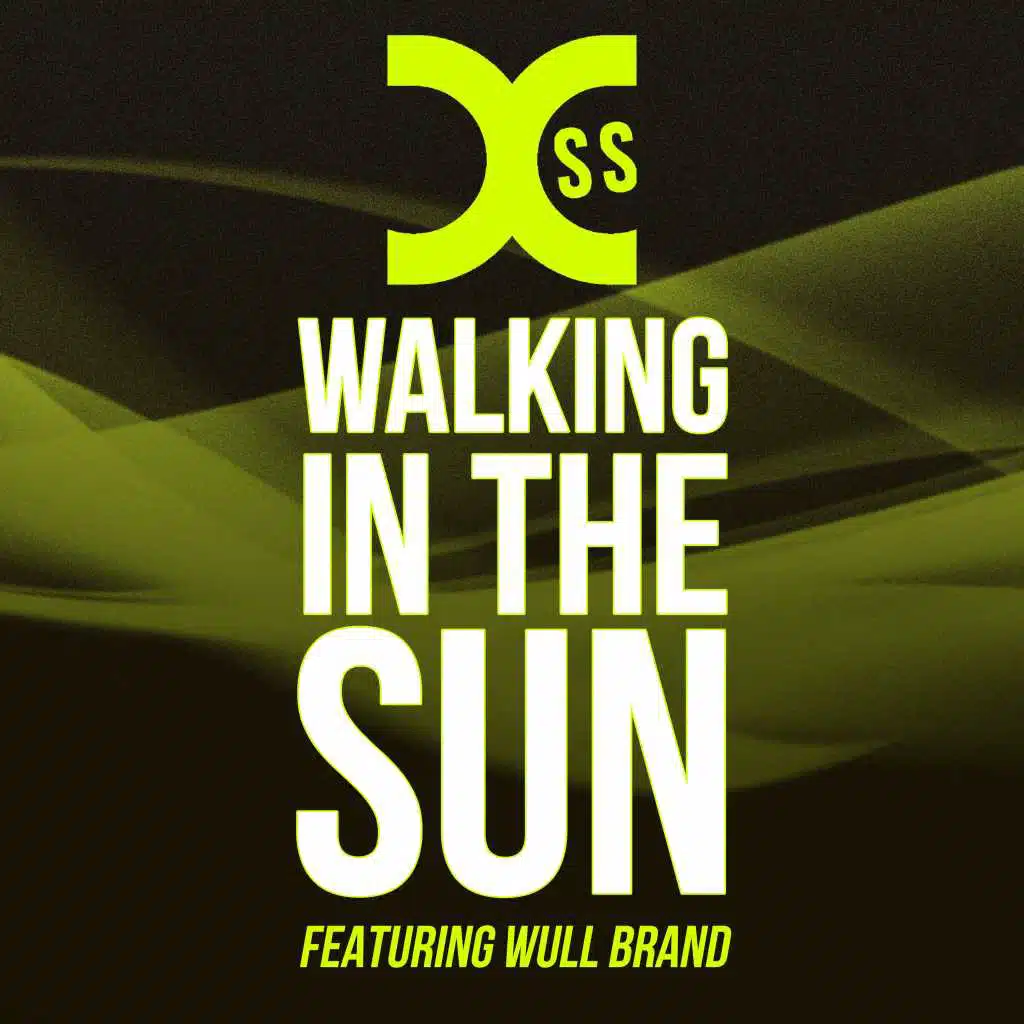 Walking in the Sun (feat. Wull Brand)