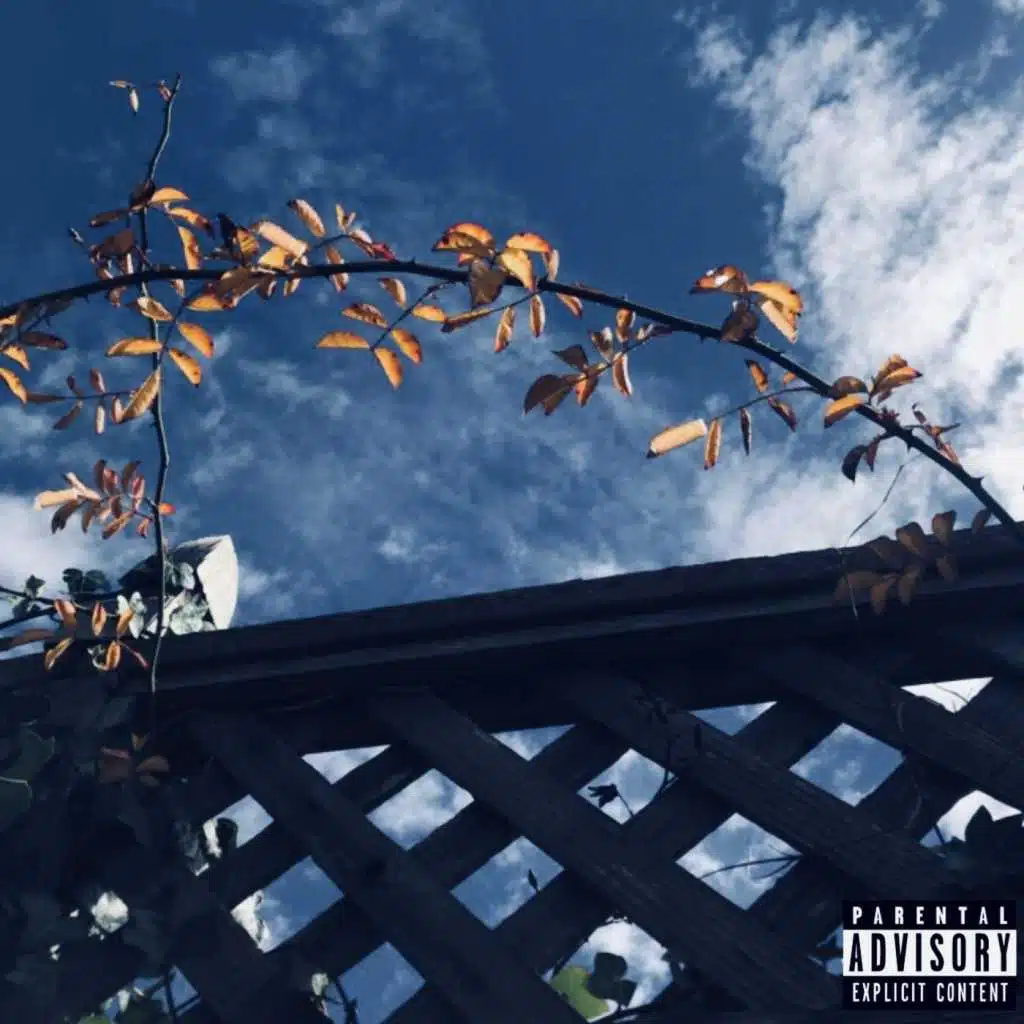 Fall I Rise