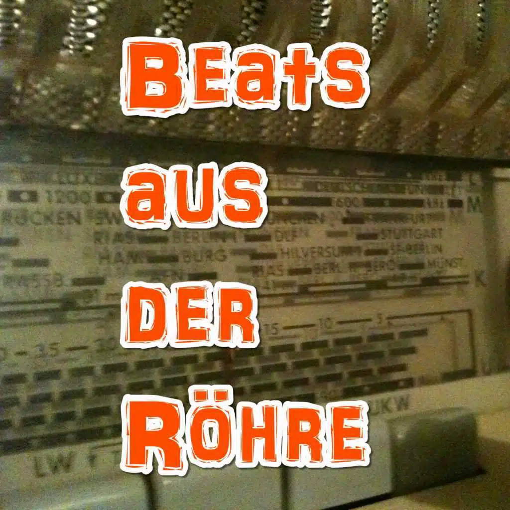Beats aus der Röhre (35 Techno Tech House Tracks)
