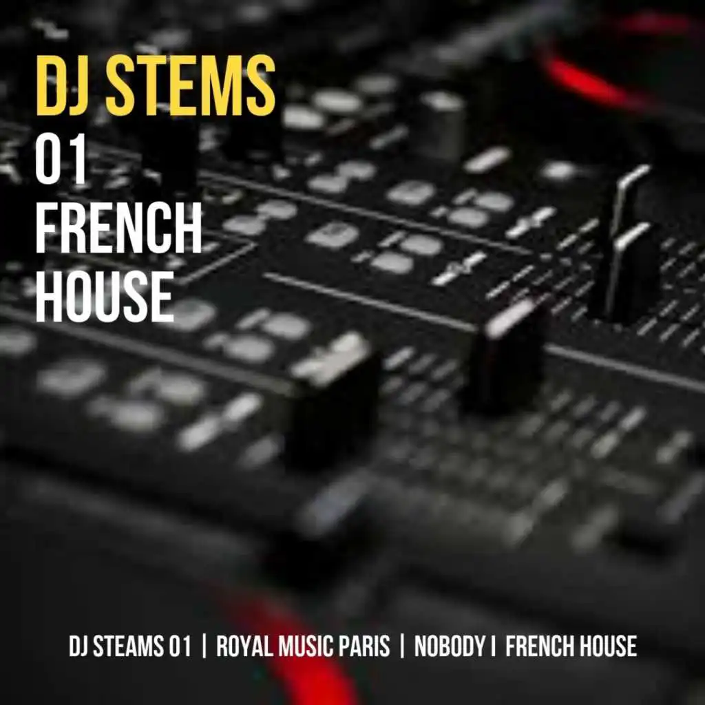 DJ STEMS 01 FRENCH HOUSE