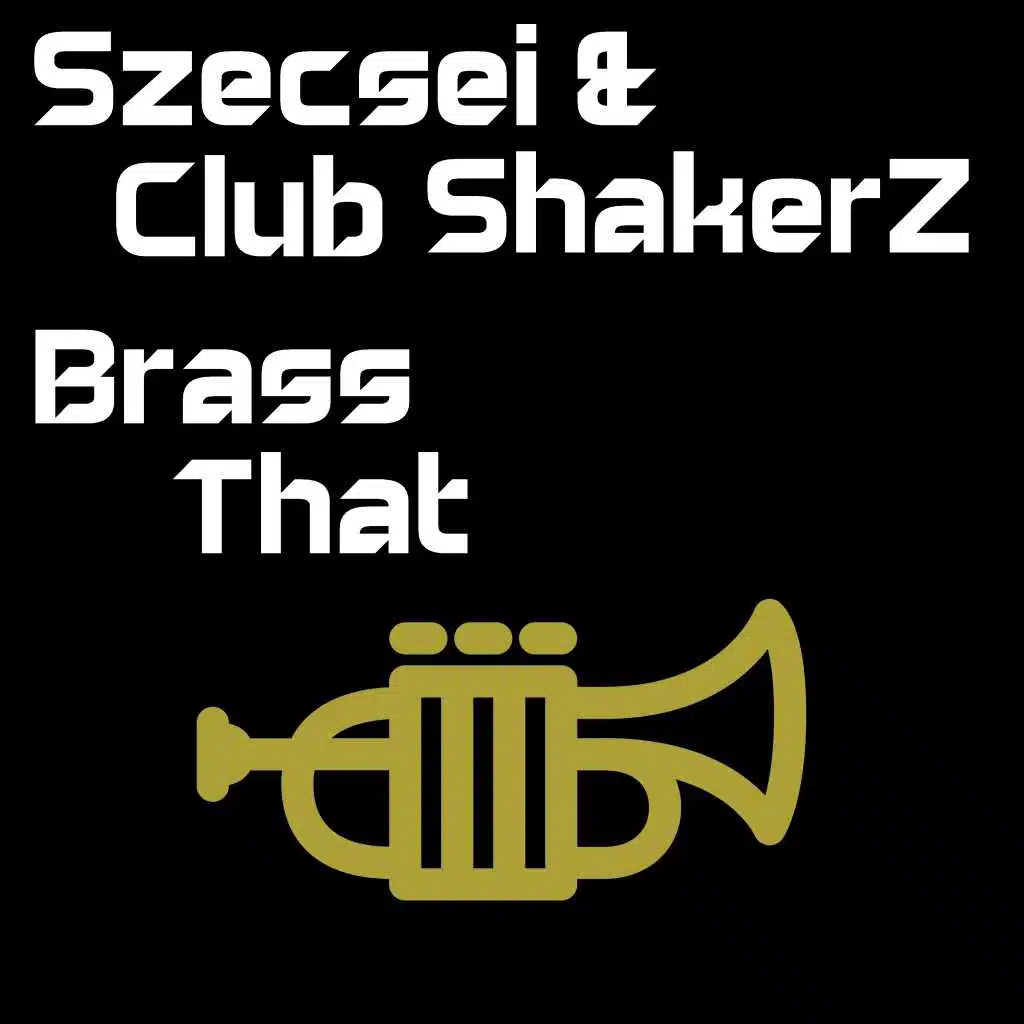 Szecsei & Club ShakerZ