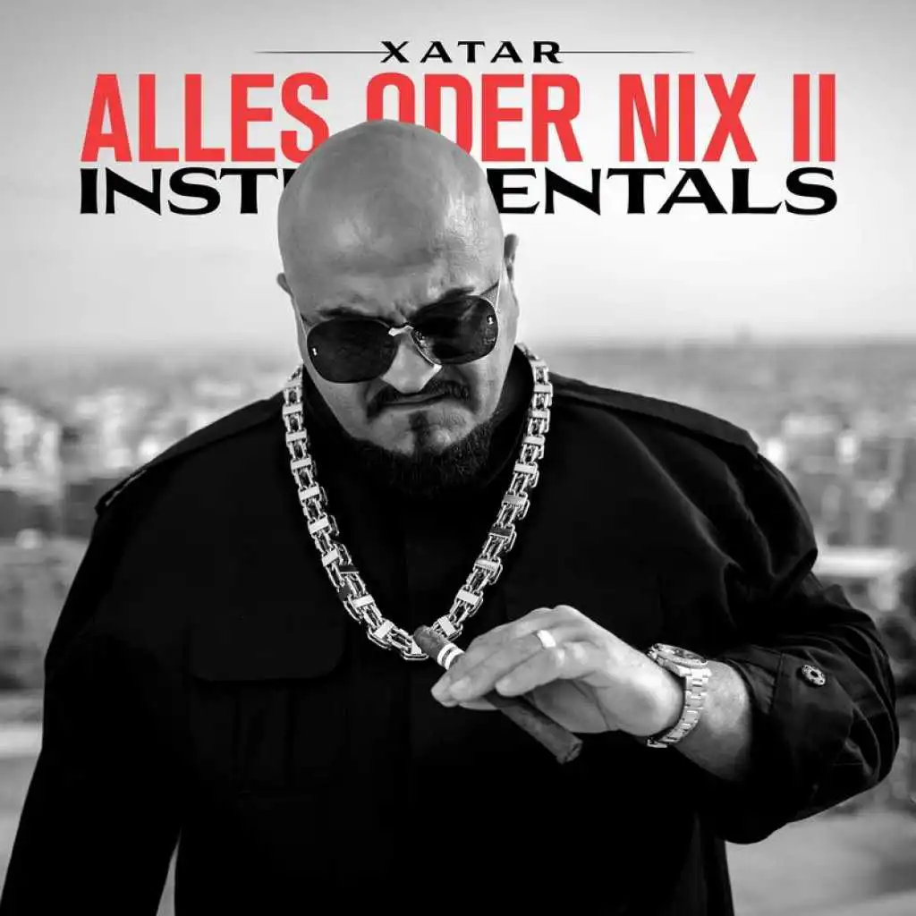 ALLES ODER NIX II (Instrumentals)