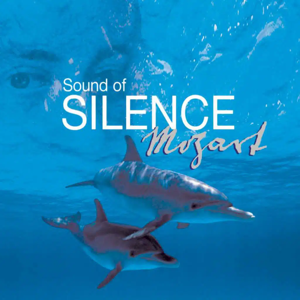 Piano Concerto No. 21 in C Major, K. 467: II. Andante