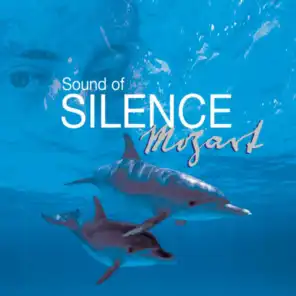 Sound Of Silence: Mozart