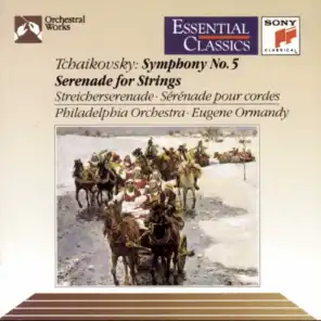 Symphony No. 5 in E Minor, Op. 64, TH 29: III. Valse. Allegro moderato