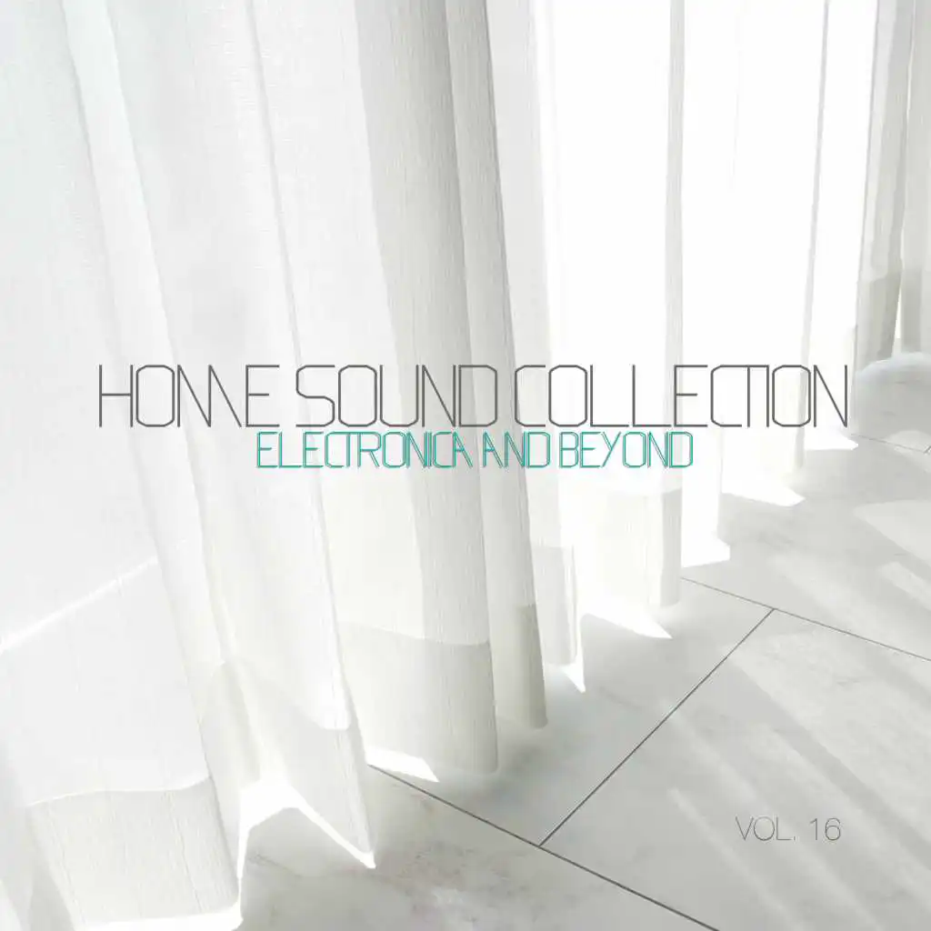 Home Sound Collection: Electronica & Beyond, Vol. 16
