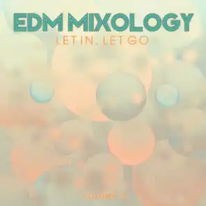 EDM Mixology: Let In Let Go, Vol. 2
