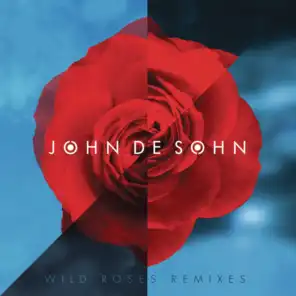 Wild Roses (Zaltaio Van Berg After Eight Remix)