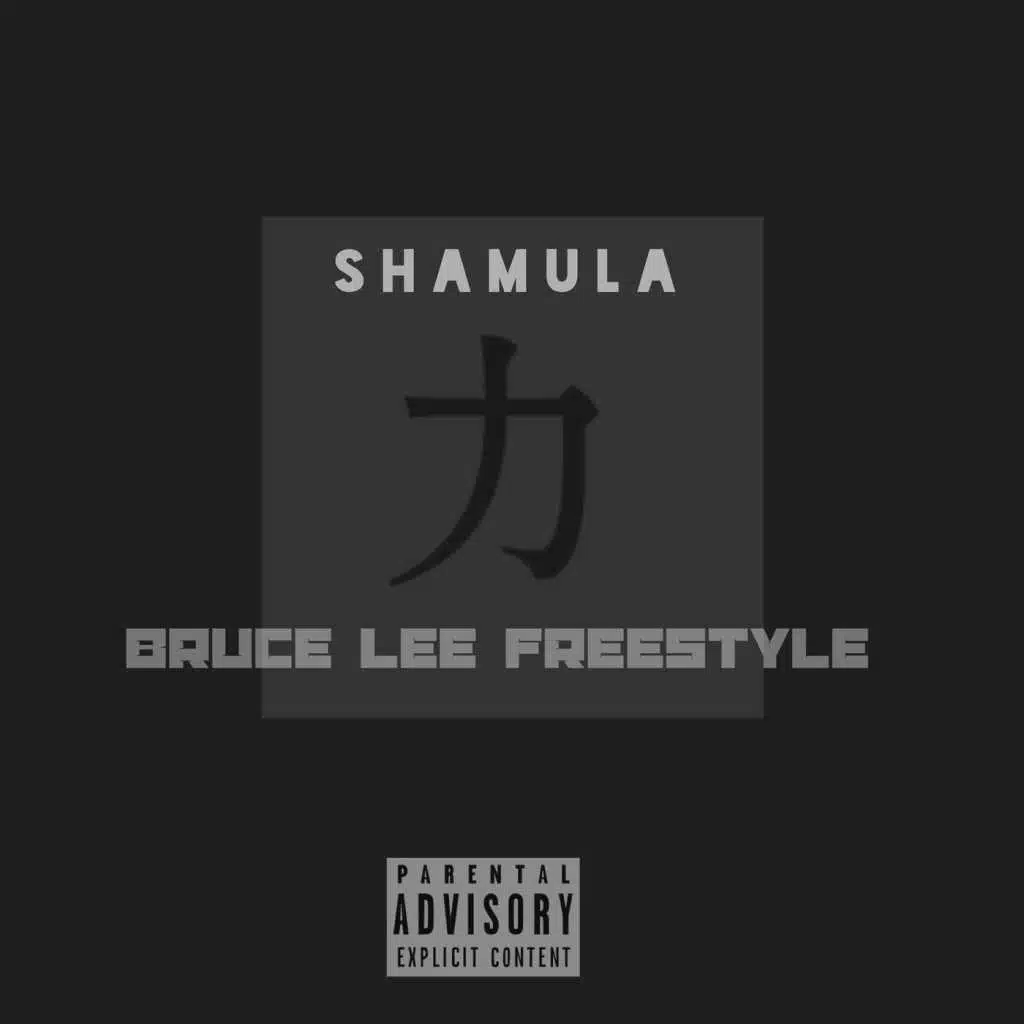 Bruce Lee Freestyle