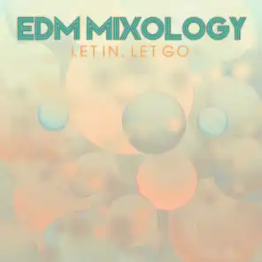 EDM Mixology: Let In Let Go