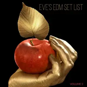 Eve's EDM Set List, Vol. 2