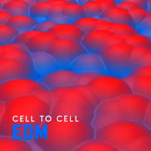 EDM Cell to Cell