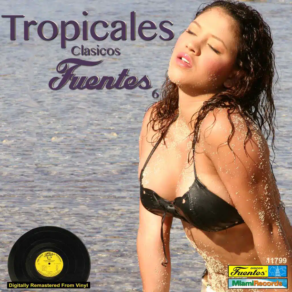 Tropicales Clasicos Fuentes 6
