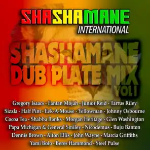 Shashamane Dub Plate Mix, Vol. 1 - Shashamane International Presents