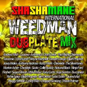 Weedman Dubplate Mix - Shashamane International Presents