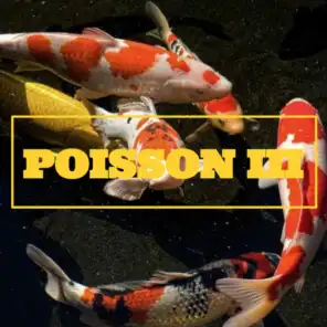 Poisson III