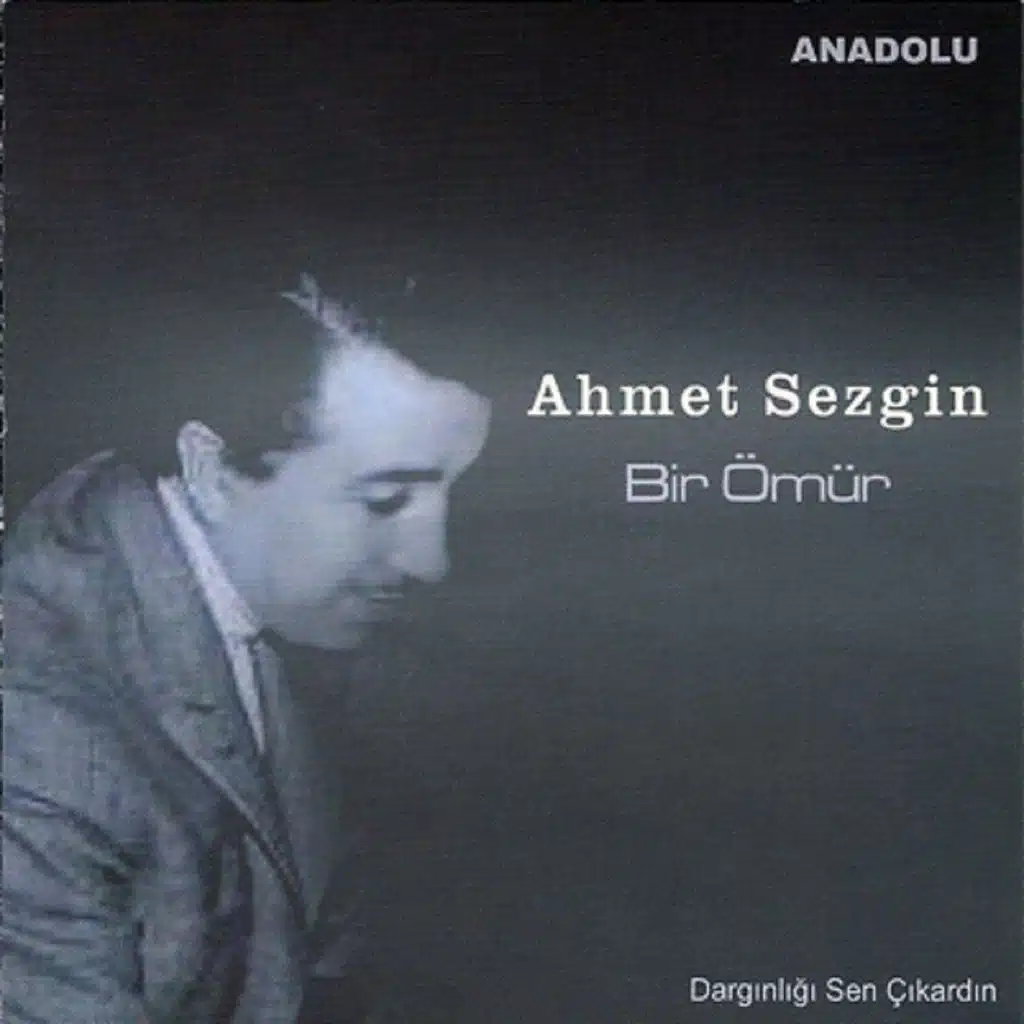 Bir Ömür (Dargınlığı Sen Çıkardın)