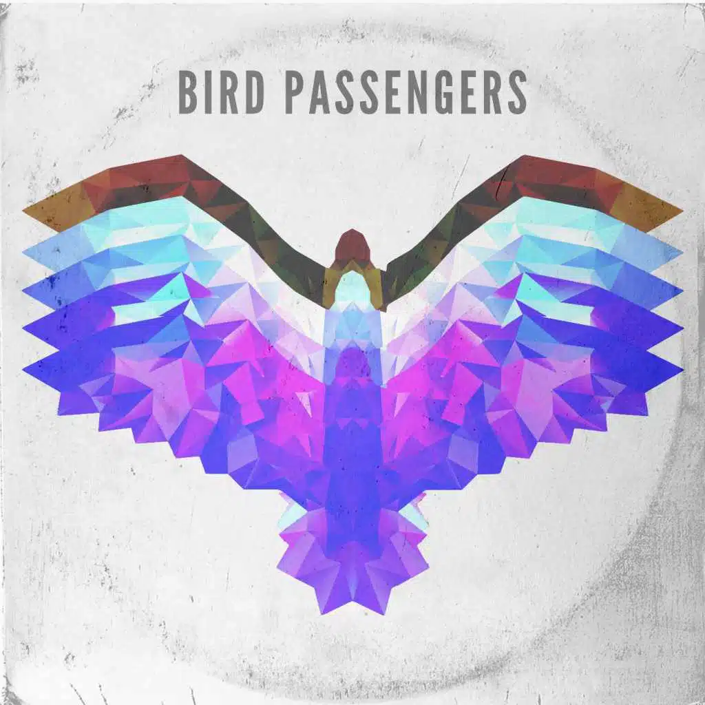 Bird Passengers