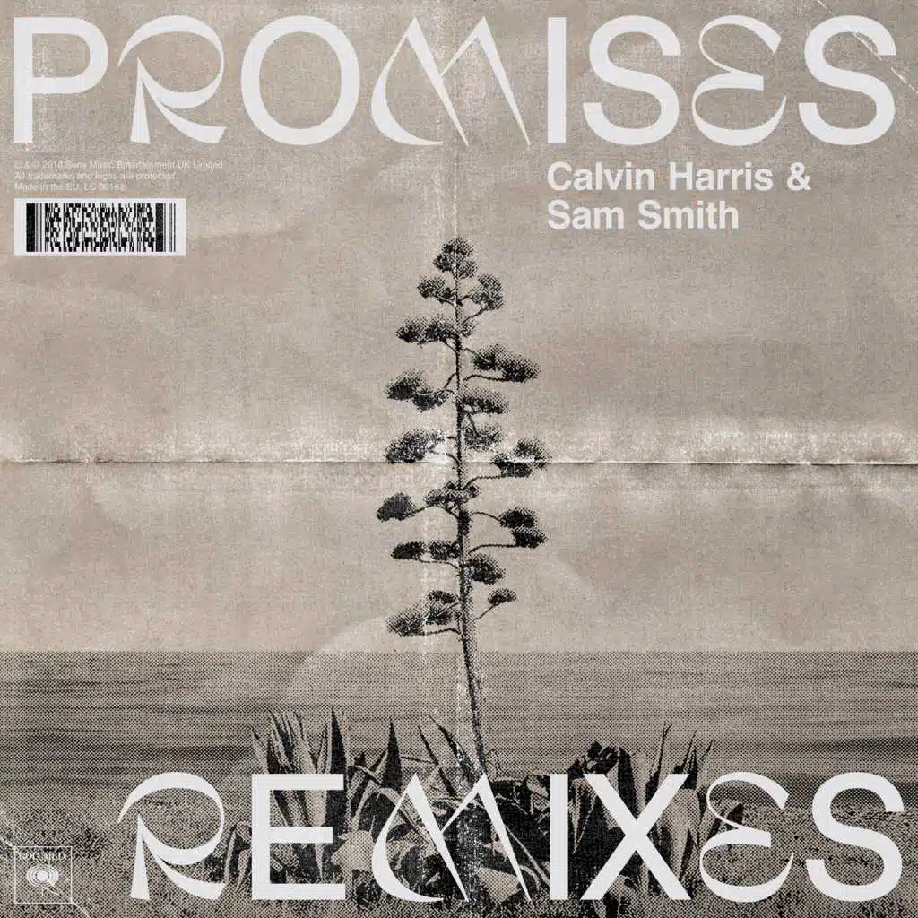 Promises (David Guetta Remix)