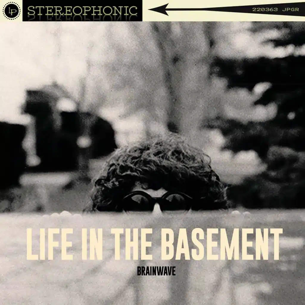 Life in the Basement