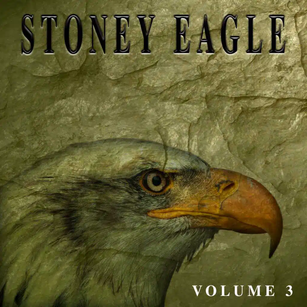 Stoney Eagle, Vol. 3
