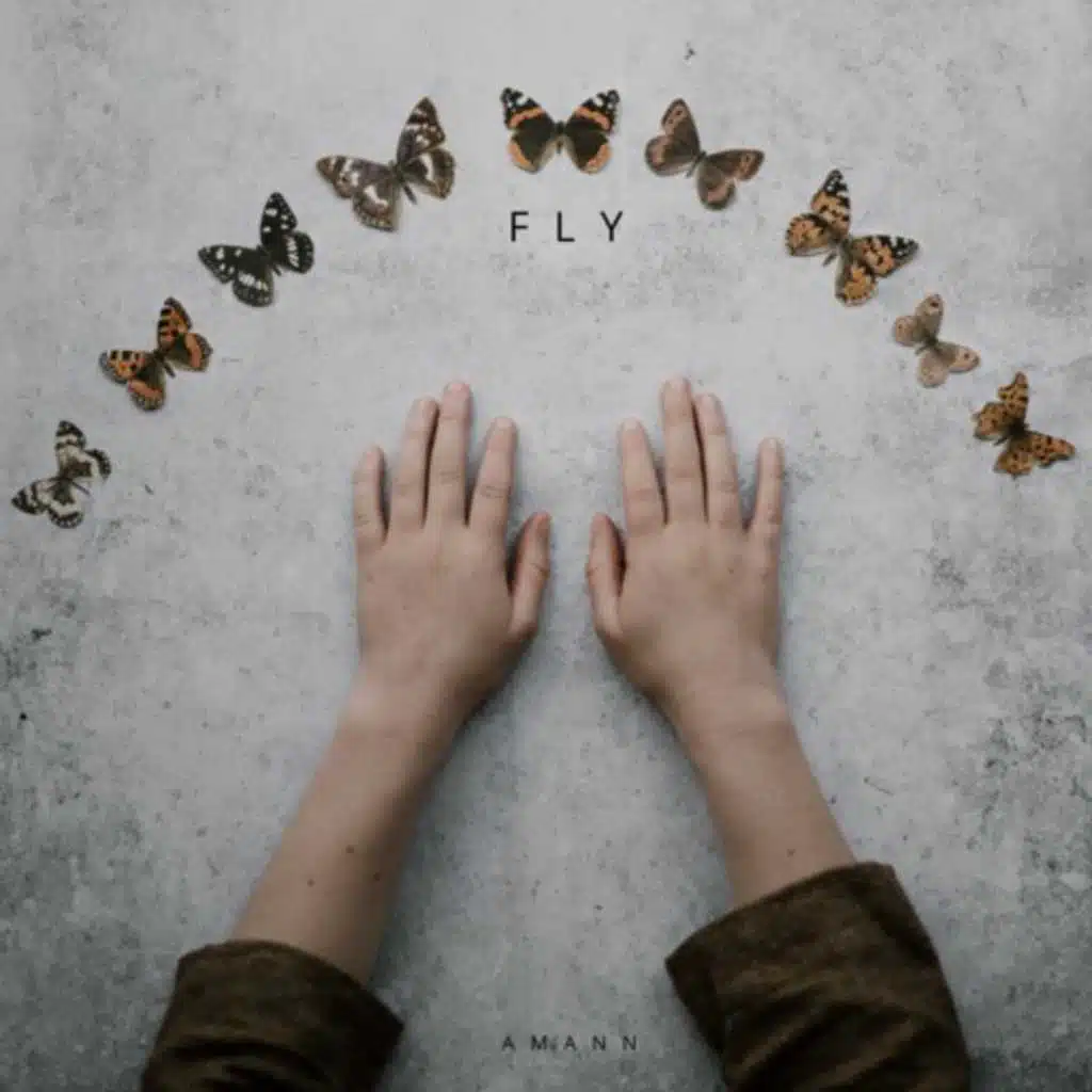 Fly