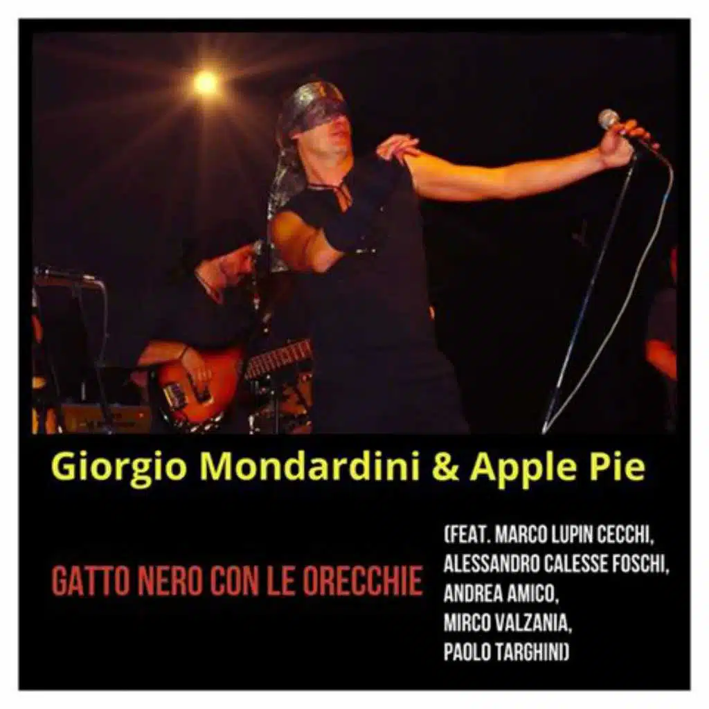 Gatto Nero Con Le Orecchie (feat. Giorgio Mondardini Vox - Piano - Guitar, Marco Lupin Cecchi Keyboards, Alessandro Calesse Foschi Guitar, Andrea Amico Bass, Mirco Valzania Drums & Paolo Targhini Guitar)