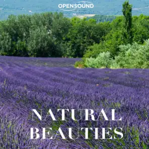 Natural Beauties (Music for Movie)