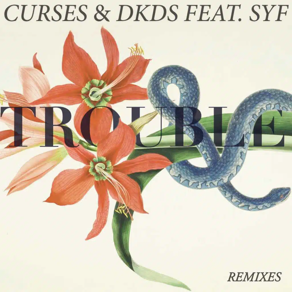 Trouble (Remixes) [feat. SYF]