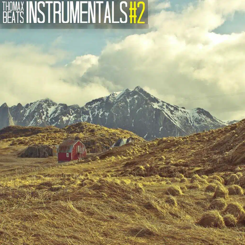 Instrumentals #2