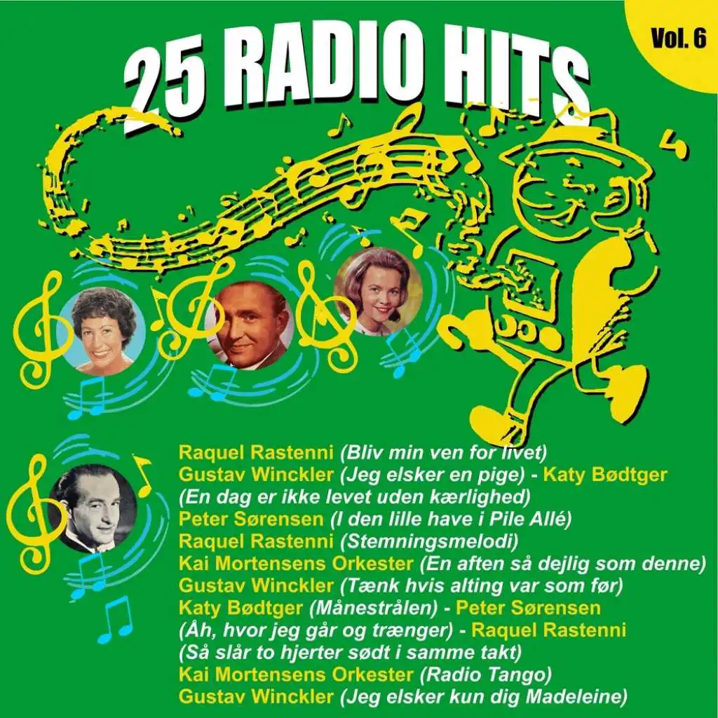 25 Radio Hits Vol. 6