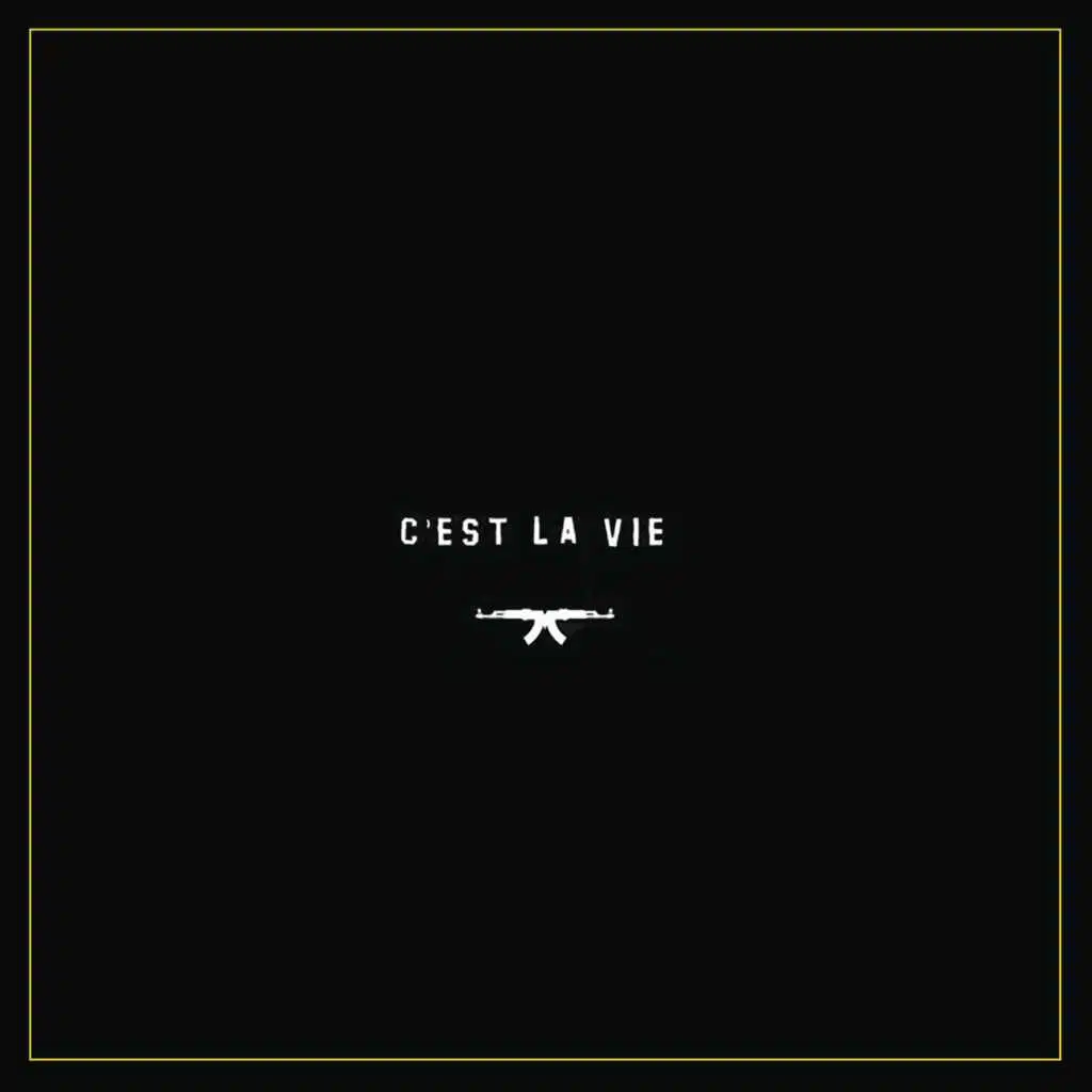 C'est la vie (feat. MellemFingaMuzik)