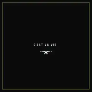 C'est la vie (feat. MellemFingaMuzik)