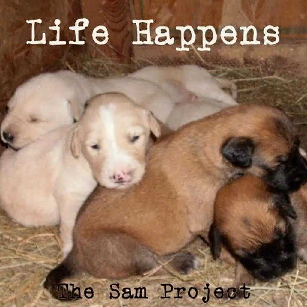 Life Happens