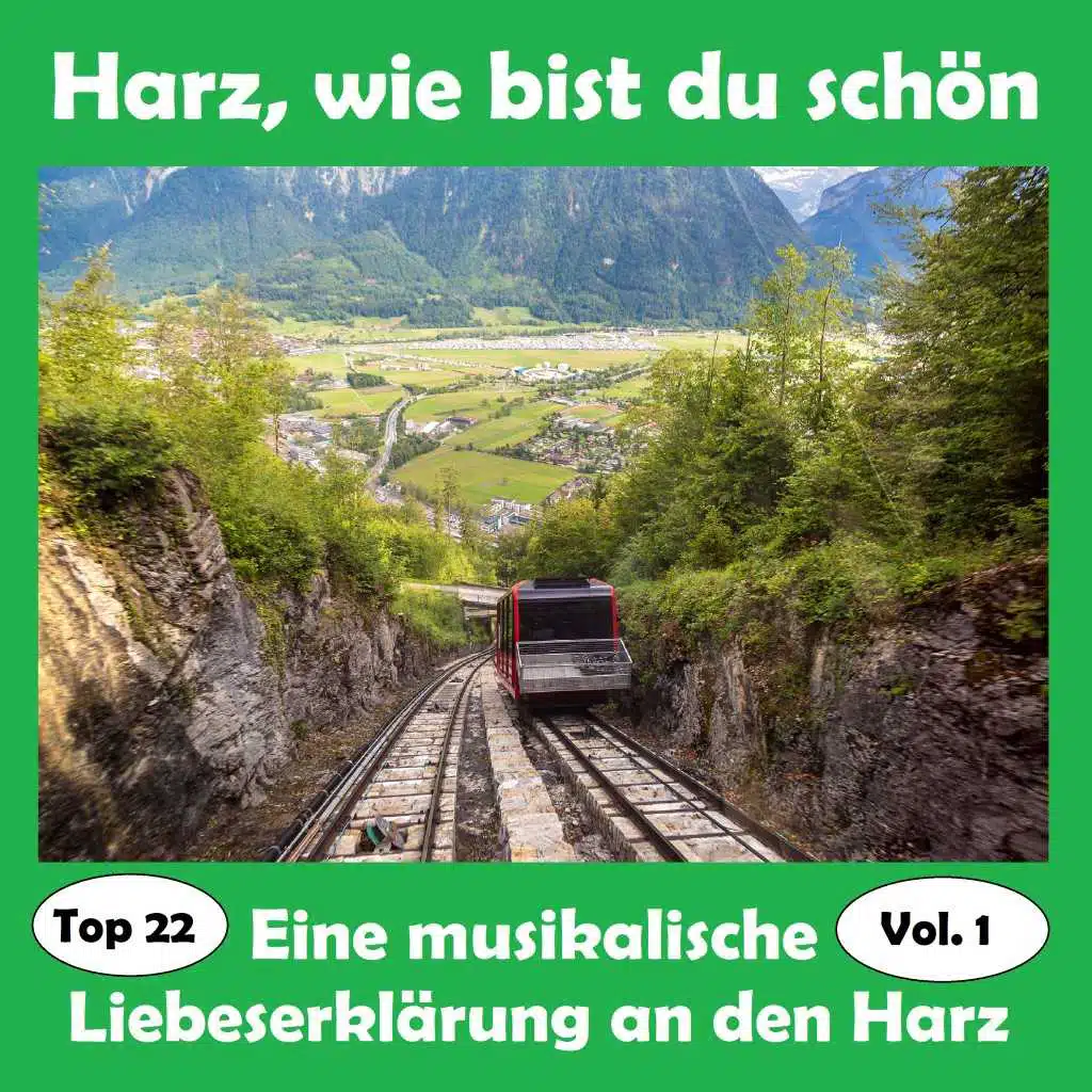Top 22: Harz, wie bist du schön - Eine musikalische Liebeserklärung an den Harz, Vol. 1