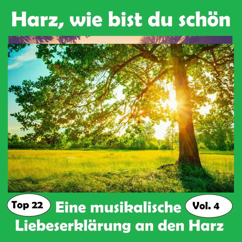 Top 22: Harz, wie bist du schön - Eine musikalische Liebeserklärung an den Harz, Vol. 4