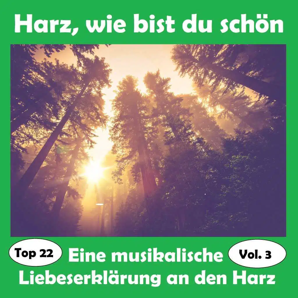 Jodel-Solistin Goslar & Trachten- und Jodelgruppe Goslar