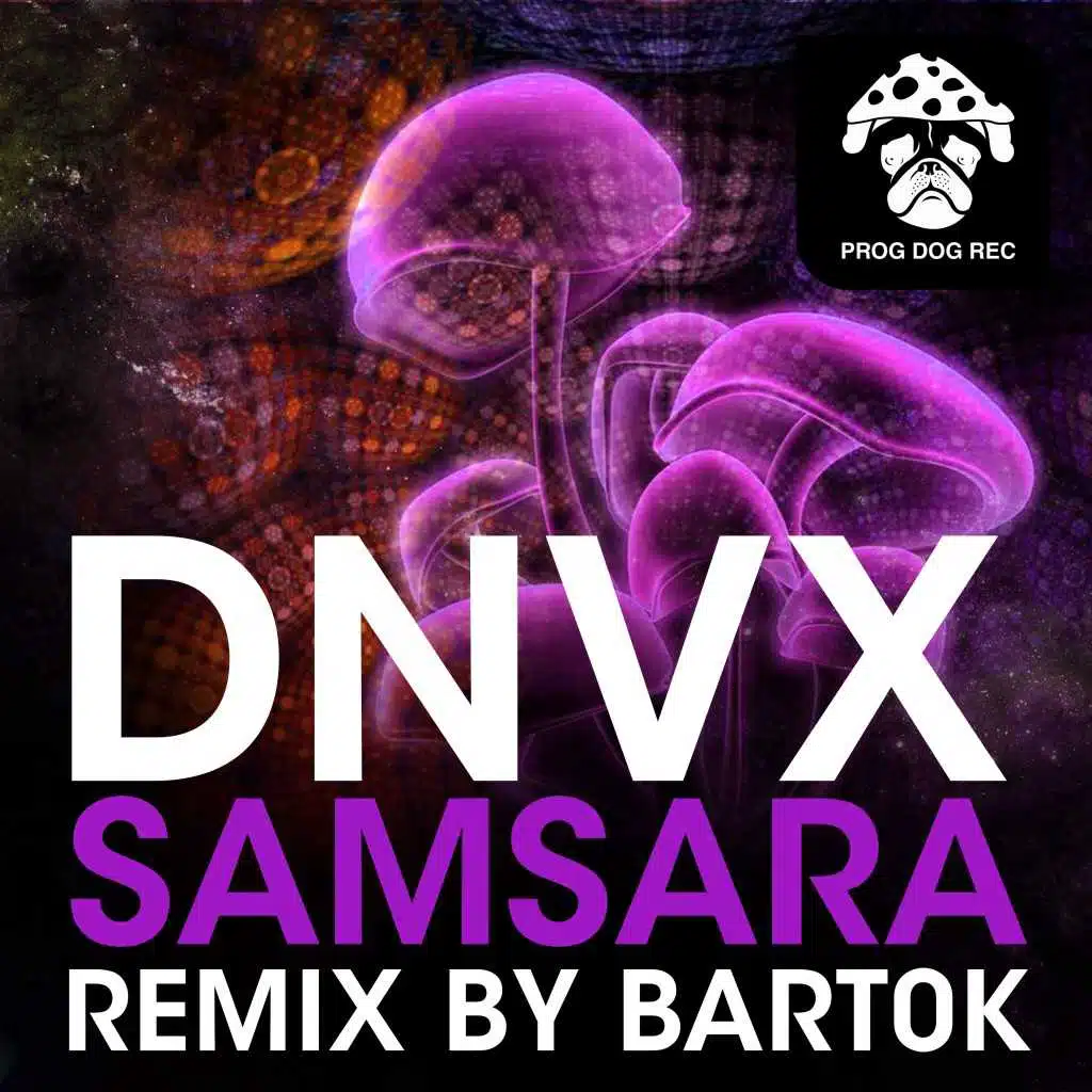 Samsara (Bart0K Remix)