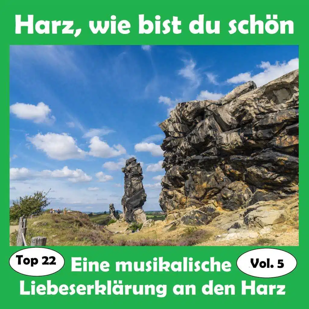 Top 22: Harz, wie bist du schön - Eine musikalische Liebeserklärung an den Harz, Vol. 5