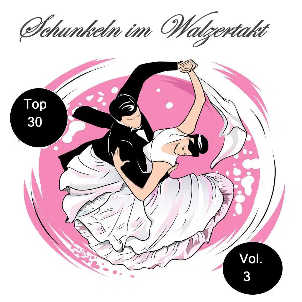 Top 30: Schunkeln im Walzertakt, Vol. 3