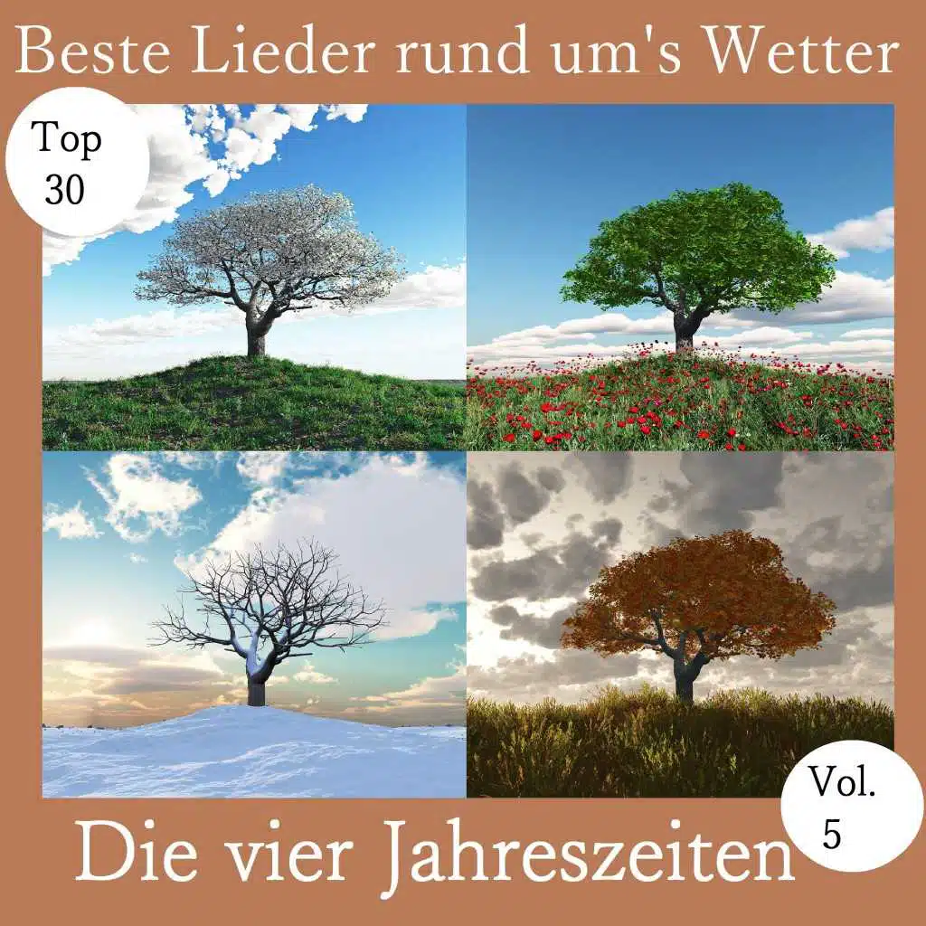 Top 30: Beste Lieder rund um's Wetter - Die vier Jahreszeiten, Vol. 5