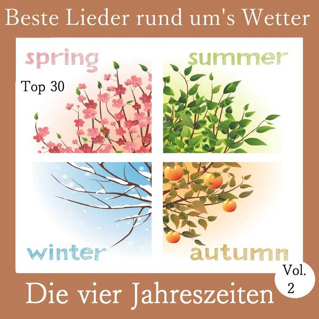 Top 30: Beste Lieder rund um's Wetter - Die vier Jahreszeiten, Vol. 2