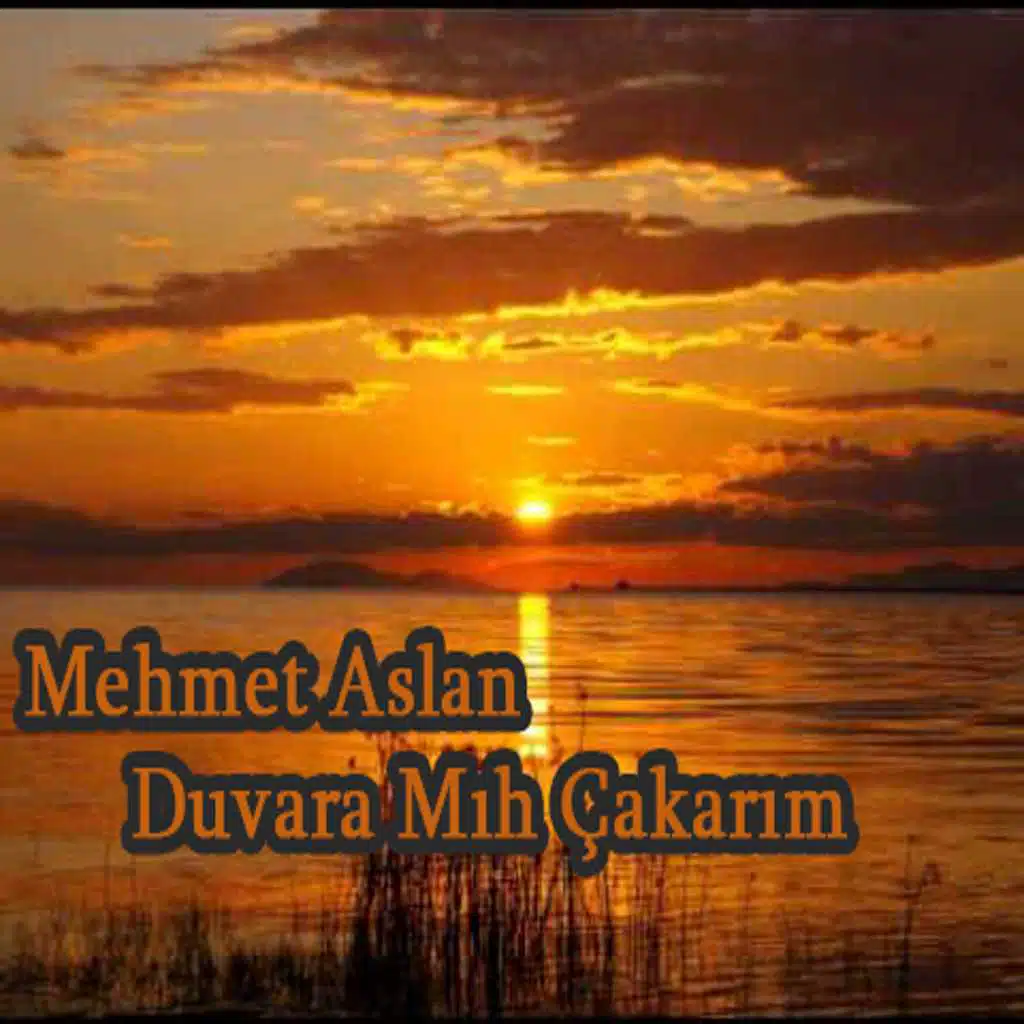 Mehmet Aslan