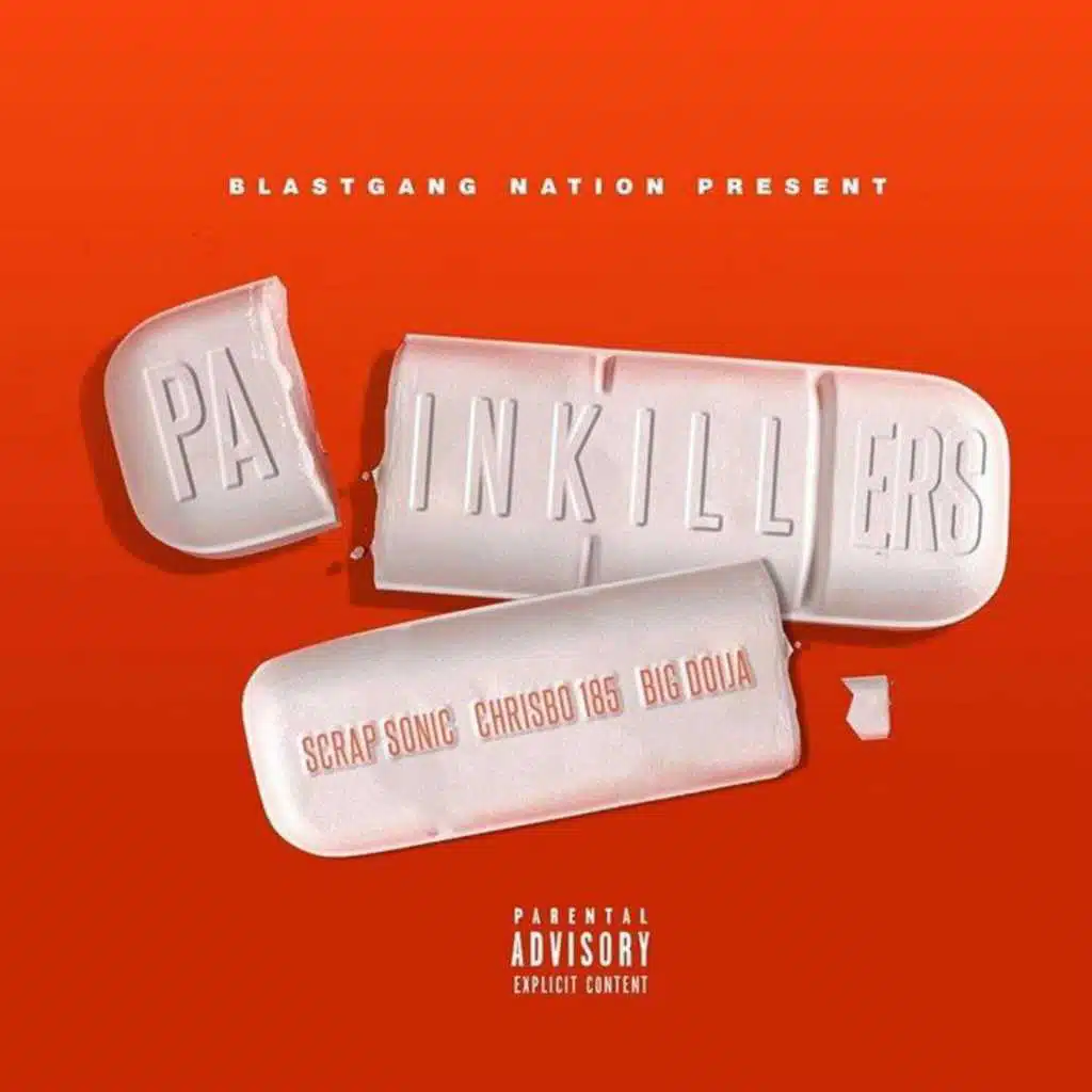 PainKillers (feat. Scrap Sonic & Big Dolja)