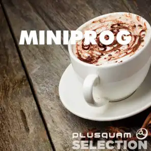 MiniProg