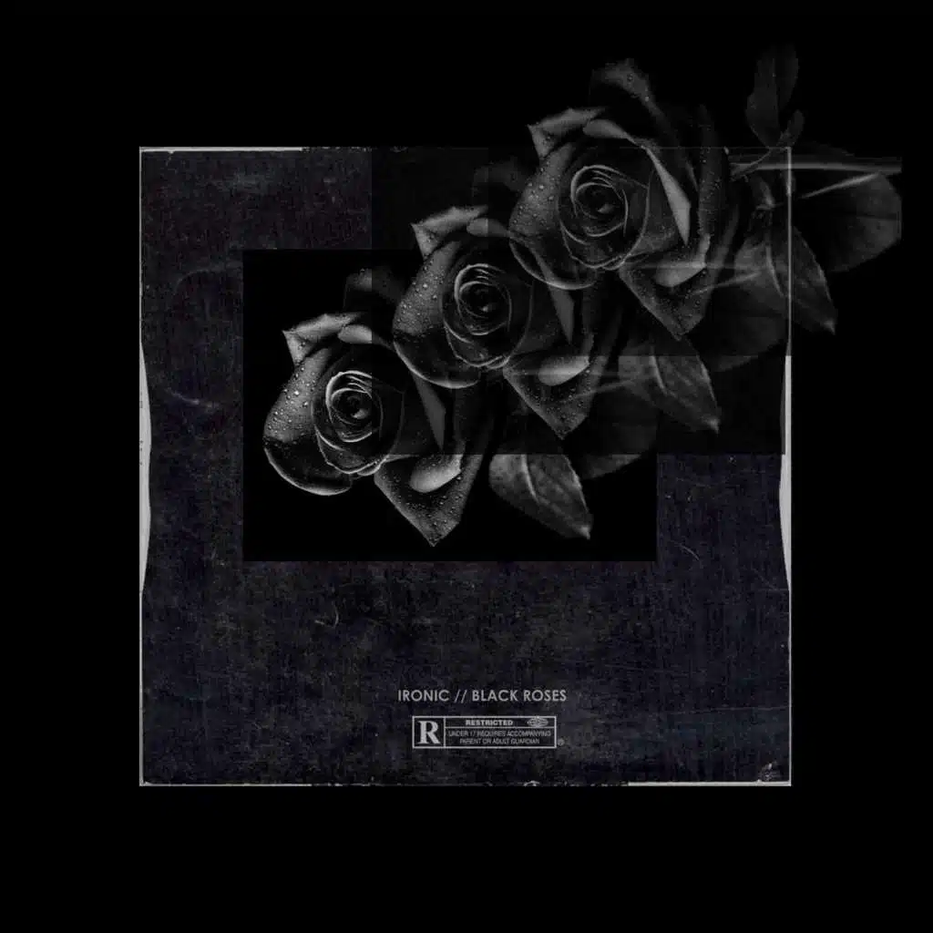 Black Roses