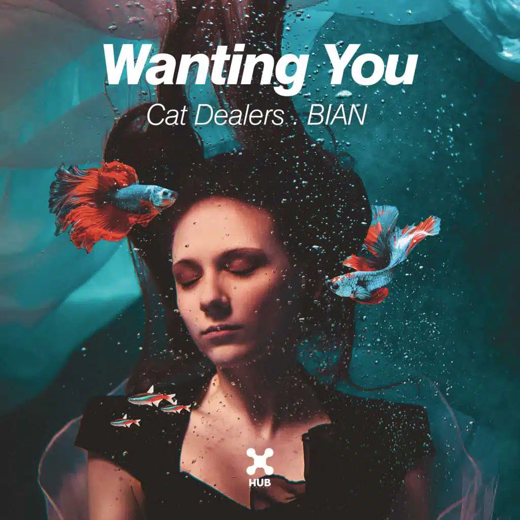 Cat Dealers & BIAN