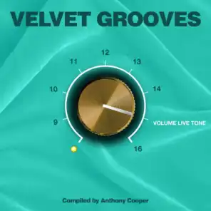 Velvet Grooves Volume Livetone!