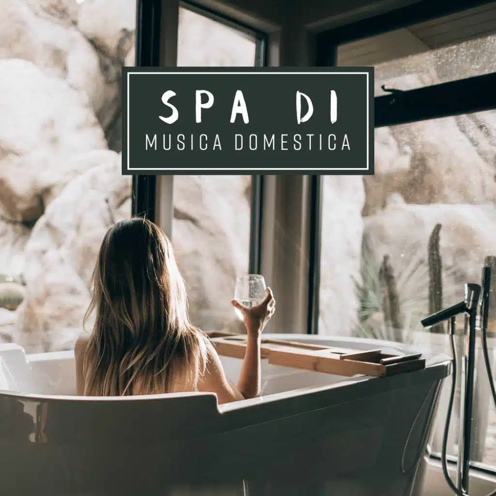 Spa di musica domestica&nbsp;- Salon curatif, Massaggio e musica spa, Aromaterapia, Buone condizioni