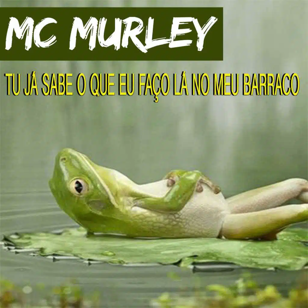 Tu Já Sabe O Que Eu Faço Lá No Meu Barraco